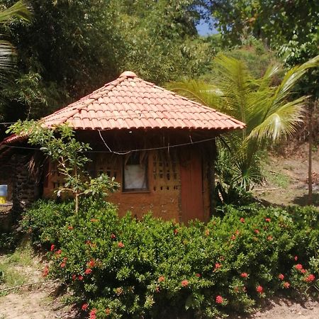 Ecopousada Casa Do Carimbo Fortalezinha ألجودوال المظهر الخارجي الصورة