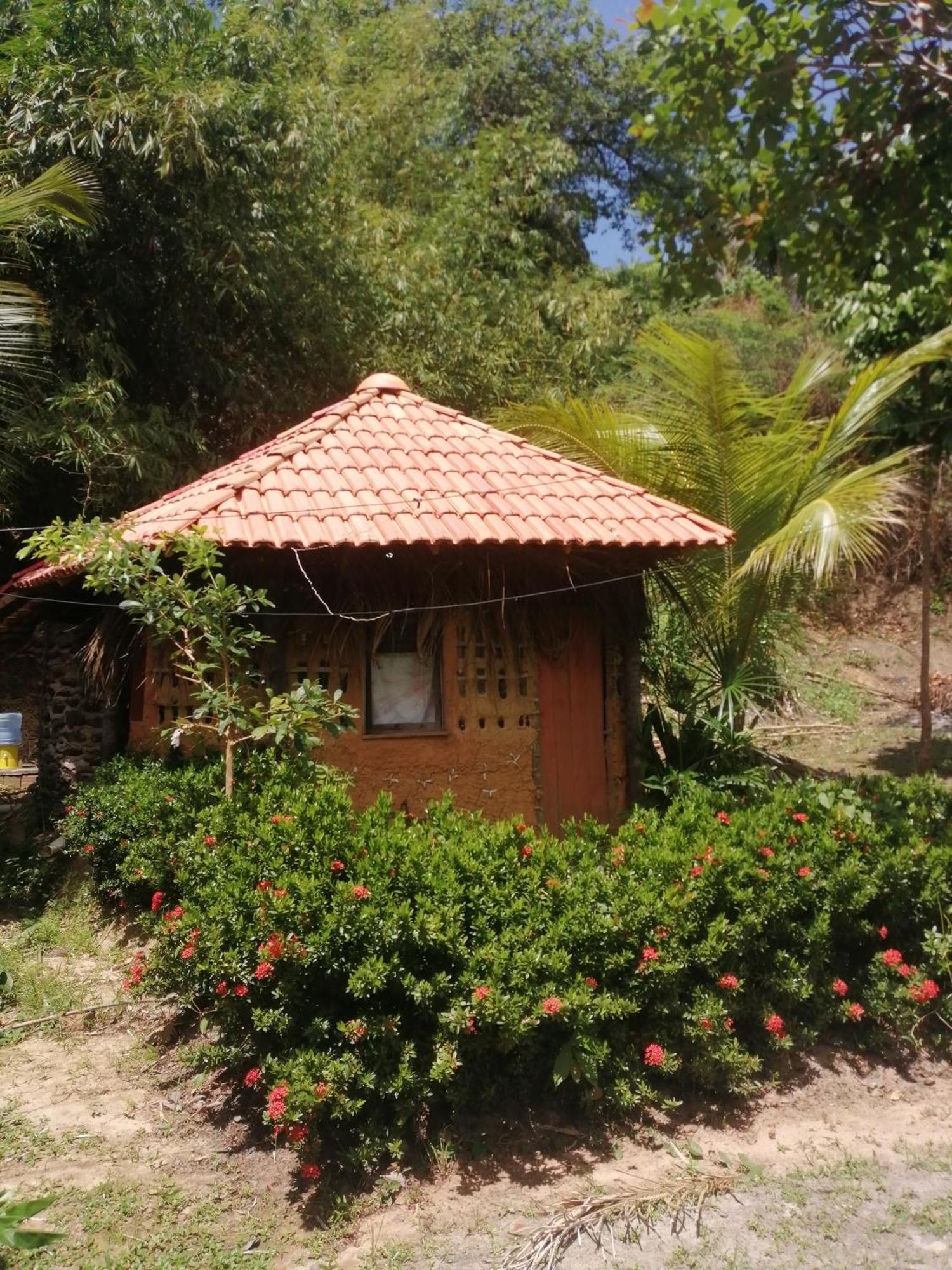 Ecopousada Casa Do Carimbo Fortalezinha ألجودوال المظهر الخارجي الصورة